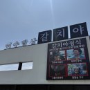 여수 갈치야 내돈내산 후기｜바다 보며 먹는 갈치조림 갈치구이 정식