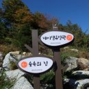 데미샘자연휴양림 이미지
