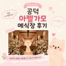 다한다 | 공덕 아펠가모 웨딩홀 투어 후기💍🤍 (밥펠가모~)/27년 견적 공유