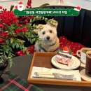 오라켄넬 | [광주]남구 봉선동 애견동반 카페 <라이크히얼>주차ㅣ유럽 감성 베이커리 카페ㅣ케이크 맛집