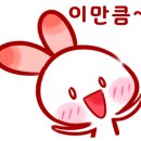 브로피자 이미지