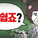 처분이사 이미지