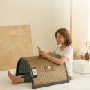 정원사우나 | 허리,관절 찜질은 역시 정원의료기 원적외선 온열돔사우나