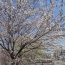 신장근린공원2 이미지