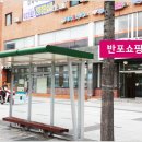 펫버스 이미지