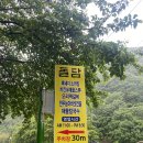 돌담식당