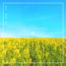 주식회사 세린