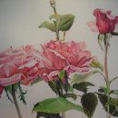 꽃그림 색연필화 이미지