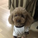 가야시장 이미지