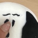 쭈니와비니 | 일상과한빈과일상