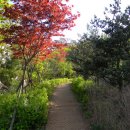 구로-구로-구로-781 이미지