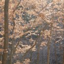 상수리공원 이미지