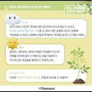 씨앗이야기 이미지