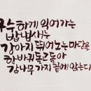 플라워와 기초캘리 이미지