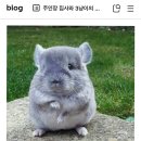 냠냠