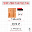 벨루스헤어 - 성북구 보국문로16길 2 | 벨루스헤어
