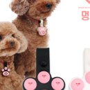 멍텐션 | 강아지진드기약 멍가드 팬던트형으로 자극 없이 해충 진드기 걱정 끝난 솔직후기