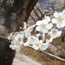 섬진강농장 이미지