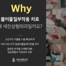 세진성형외과의원