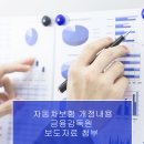 솔로몬자동차 이미지