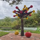 청송민박 | 청송 주왕산국립공원 여행 | 용추협곡과 사과밭이 선물한 힐링 하루