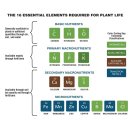 CU 기장철마점 | [인강노트 : 식용작물학] 심화이론 14강 요약정리