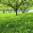 병부농장 이미지