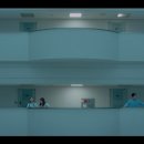선덕선덕 이미지