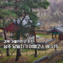 성주 경산리 성밖숲 | 경북 성주 가볼만한곳 총정리 | 실제로 다녀온 당일치기 여행 코스 BEST 5