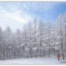 덕유목장 이미지