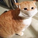 룰루랄라 PC방 | n년동안 PC방 알바한 후기 2탄