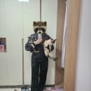 빅쭌부대찌개 홍성법원점 | # 10월의 기록