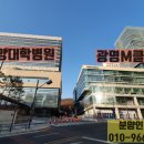 대학중앙약국 이미지