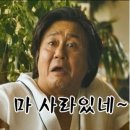 사라 이미지