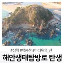 수십년 출입 제한 '삼척 덕봉산' 943m 해안생태탐방로 이미지