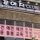 강아지클럽 이미지