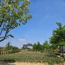원평동참숯화로구이 | 평택갈만한 곳 | 원평동참숯화로구이 | 평택시농업생태원| 카페무소