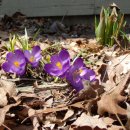 연안카센타 이미지