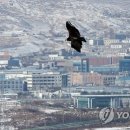 2공단5로 이미지