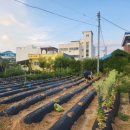 소소하루 민박 이미지