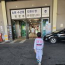 태권도담 이미지