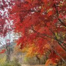 화실농장2 이미지