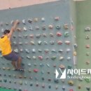 입찰루트