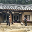 한국특수탐지견센터 이미지