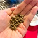 대성메디 이미지