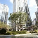 위시티로 이미지