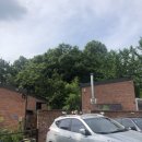 혜정한의원 이미지