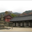 지리산 화엄사 2
