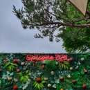 에피소드 706 이미지