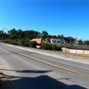 송해면-2 이미지